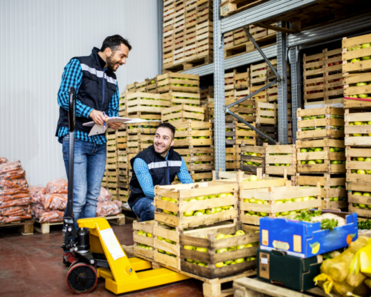 distributors in warehouse packing produce for dispatch